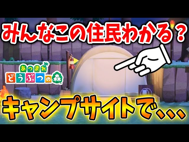 あつ森 キャンプサイトに誰か来たから見に行ったんだけど みんなこの住民が誰かわかるか あつまれどうぶつの森 Animal Crossing アウトドアなび